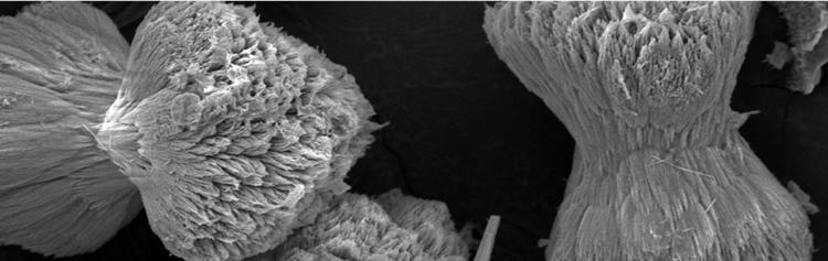 Ni co-precipitated with calcium carbonate CaCO3